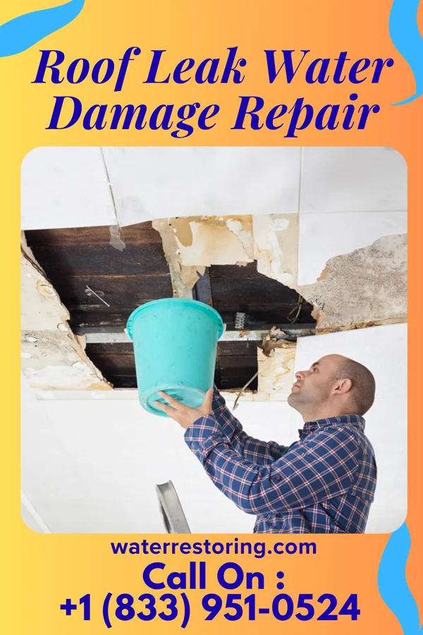 Roof Leak Water Damage Repair in Sibley, IL
